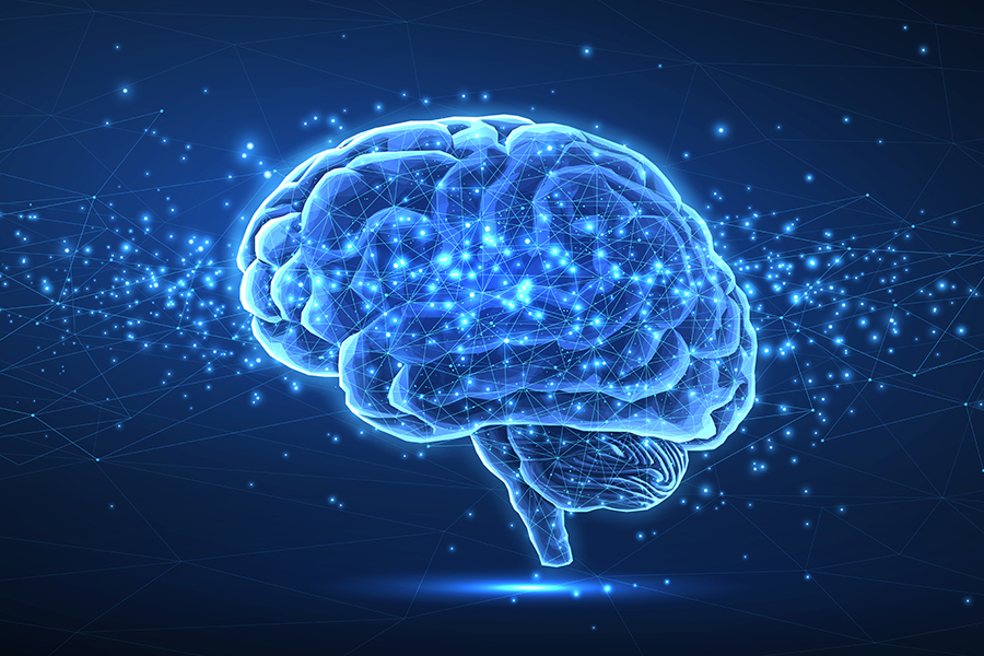Illustration of a brain