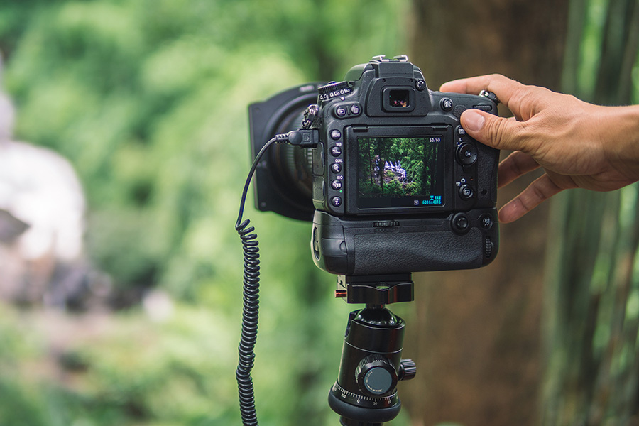 A camera taking a picture in the woods